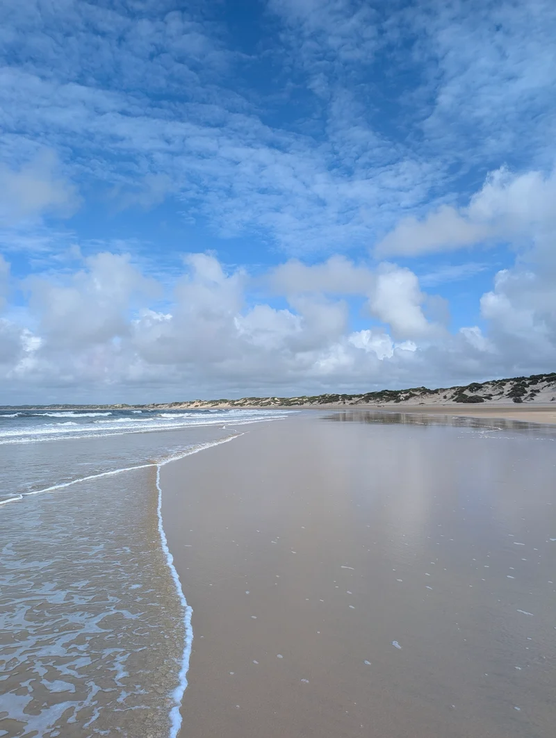 A long empty beach below sand dunes under a blue sky