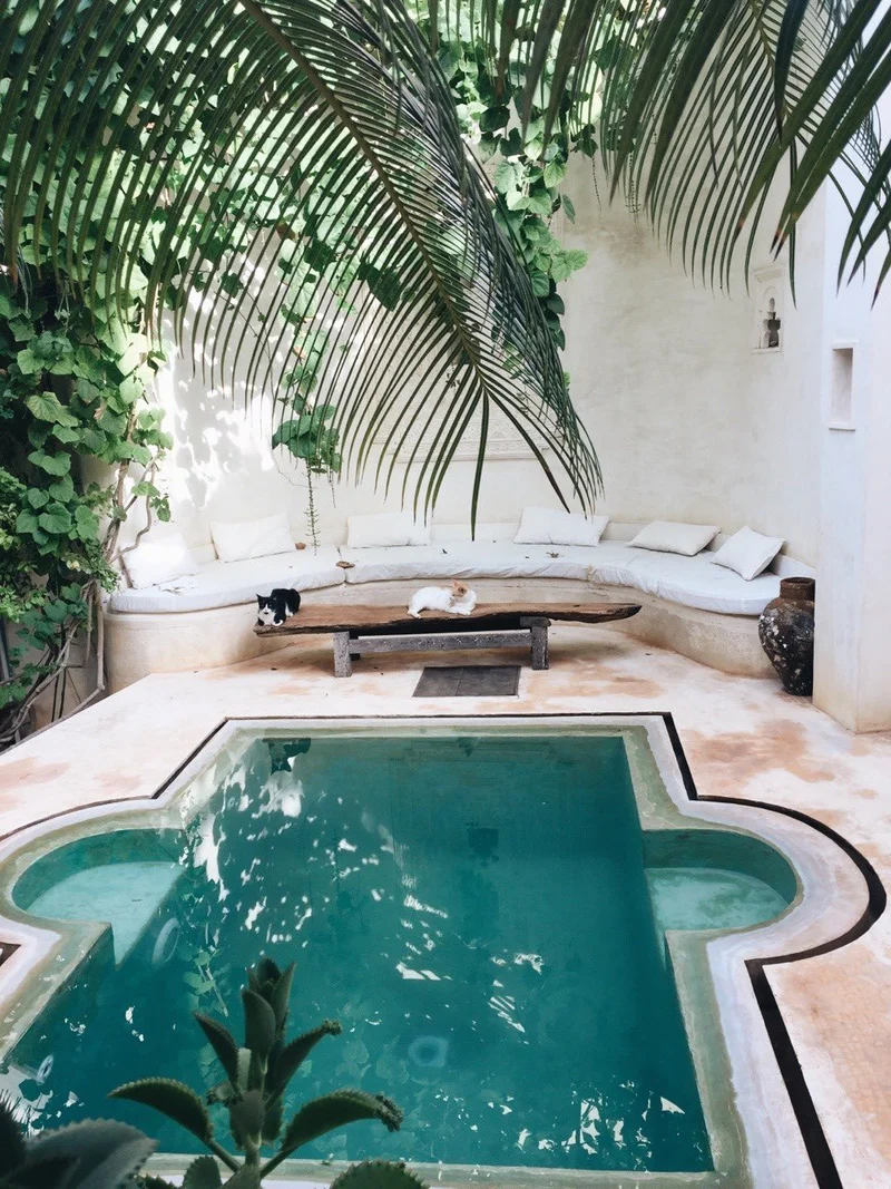 A shaded courtyard plunge pool with a built-in white seat under palm fronds