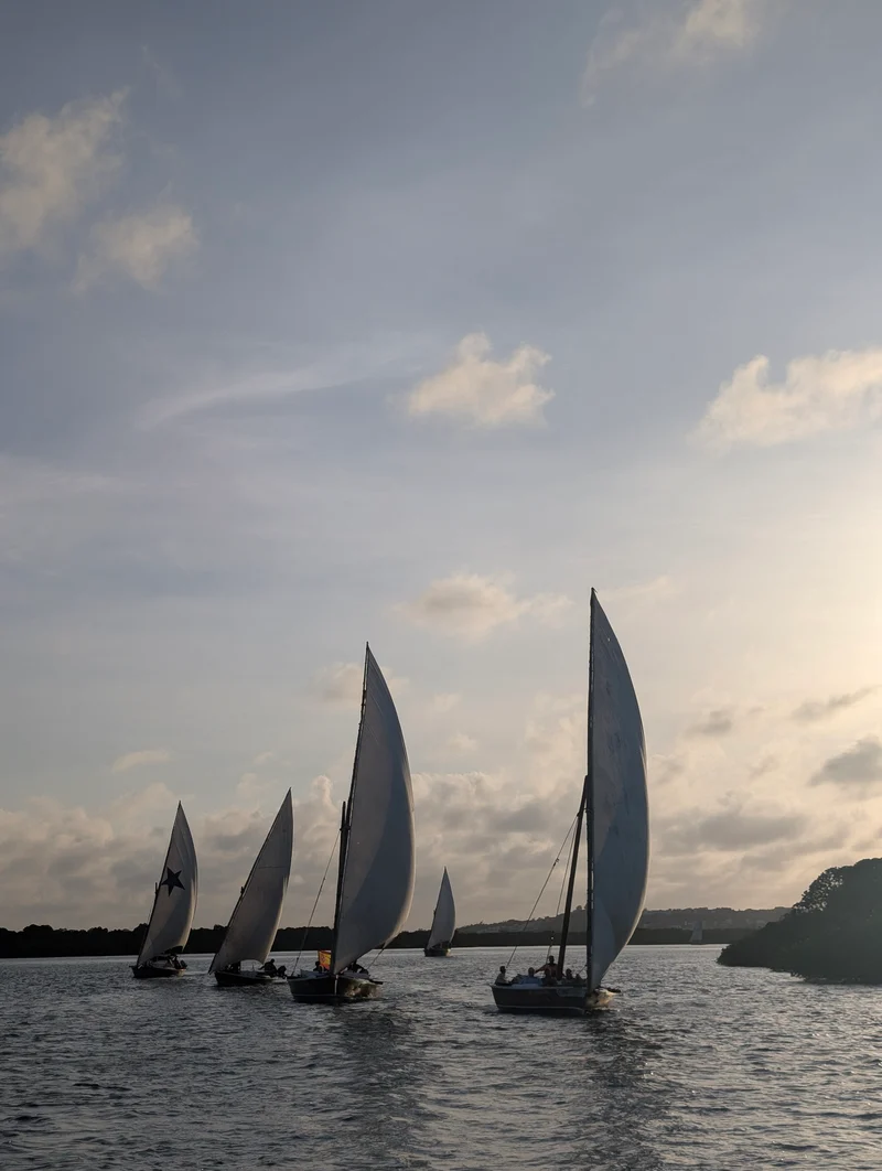 A fleet of dhows with triangular sails heading out across the water at dusk