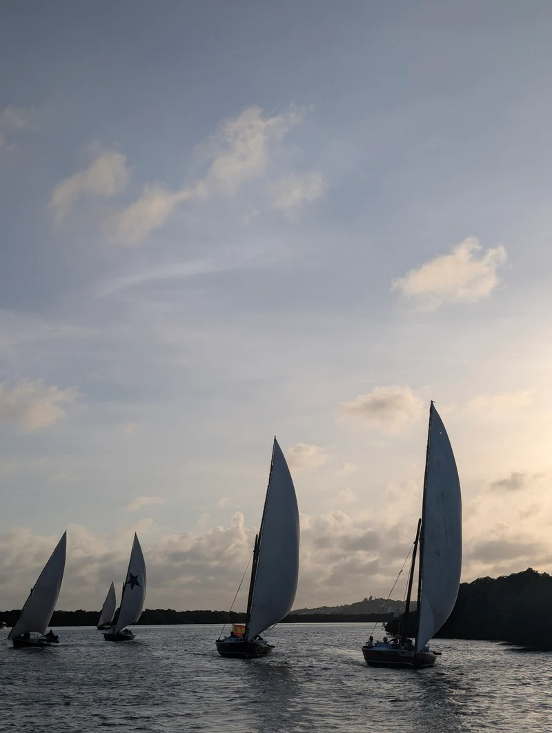 Four dhows under sail at dusk on the Lamu channel
