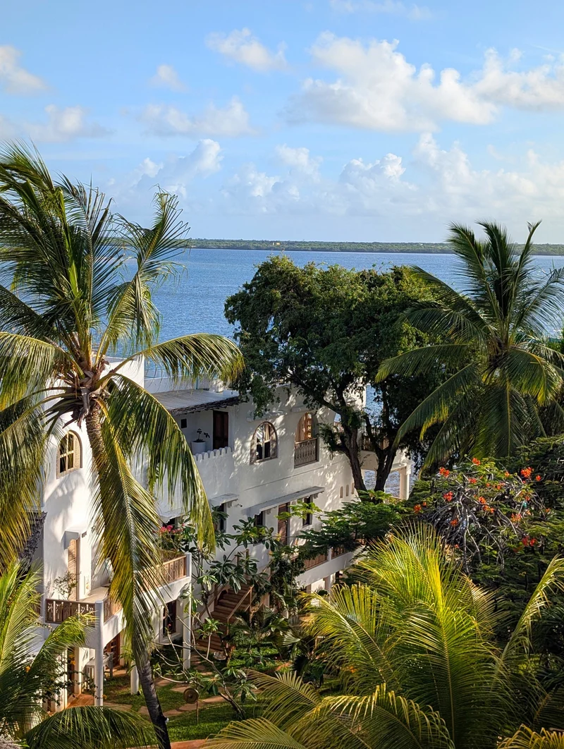 A whitewashed Swahili house with arched windows and carved balconies among palms, looking out over the Lamu channel