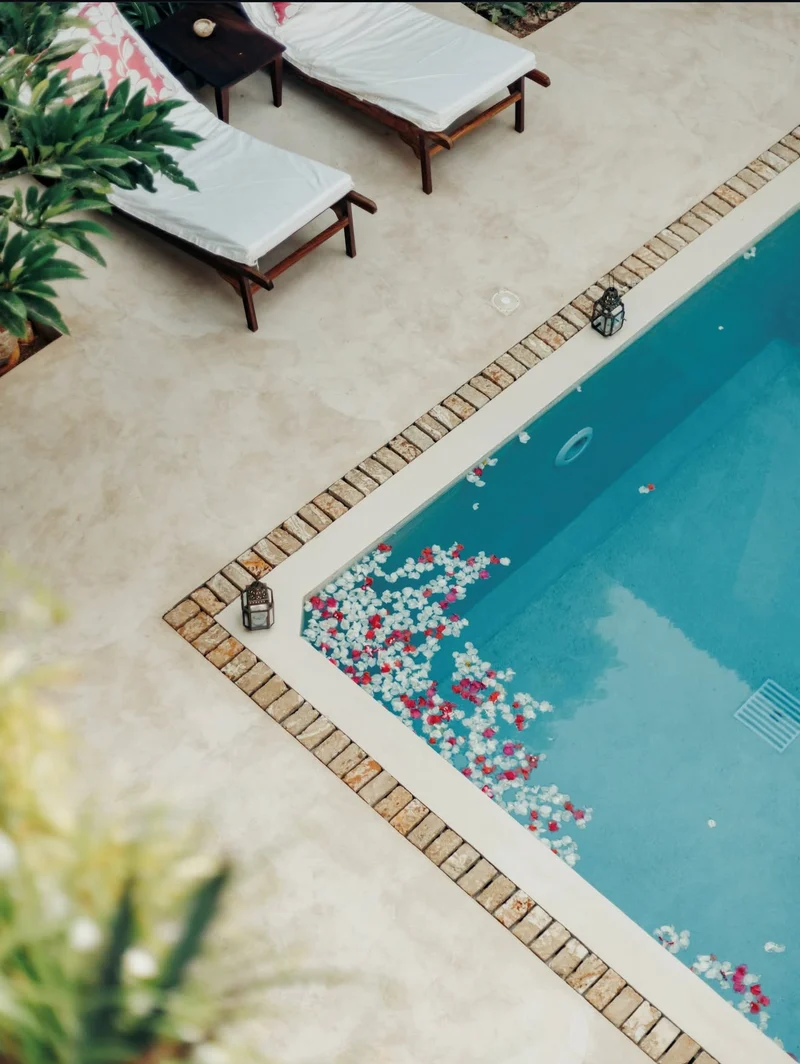 Looking down on the plunge pool, frangipani petals on the water and two loungers on the terrace